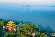 新泰人这一辈子，一定要去岳阳过次端午！